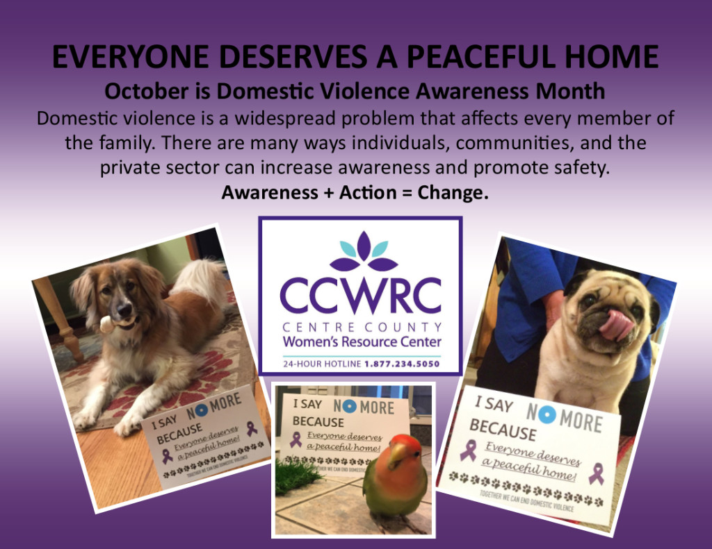 dvam-2016-full-size-box-sticker-from-the-difficult-computer